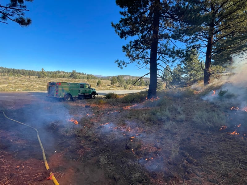 Low flames creep through pine needles and dry grass under tall pines, a hose line in the foreground and an engine standing by on the road.